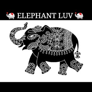 🐘 It's About The Elephants 🐘